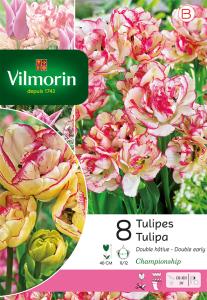 Tulipe Double Hâtive Championship